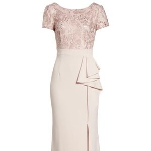 ADRIANNA PAPELL Mermaid Gown In Blush 6